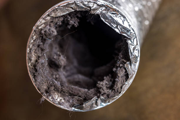 Best Affordable Air Duct Cleaning  in Dickson City, PA